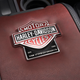 Illustration for article titled 2010 Ford Harley-Davidson F-150: Hog Lovers Rejoice!